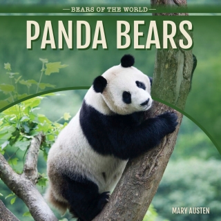 Imagen de portada: Panda Bears 9781499420401