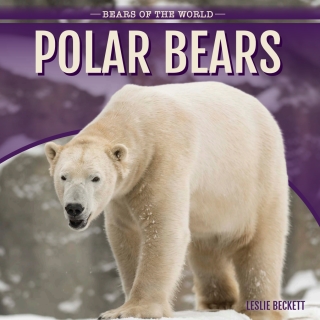 Cover image: Polar Bears 9781499420449