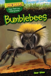Omslagafbeelding: Bumblebees 9781499420487