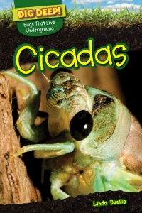 Cover image: Cicadas 9781499420524