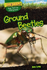 Cover image: Ground Beetles 9781499420562