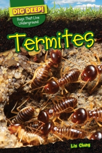 Titelbild: Termites 9781499420647