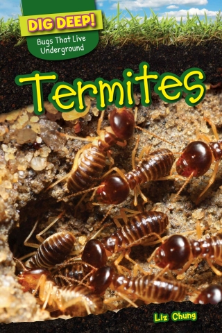 صورة الغلاف: Termites 9781499420647