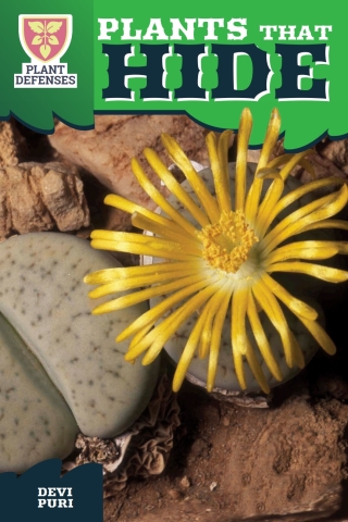Imagen de portada: Plants That Hide 9781499421453