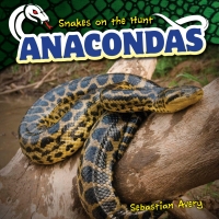 Imagen de portada: Anacondas 9781499421927
