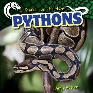 Imagen de portada: Pythons 9781499422009
