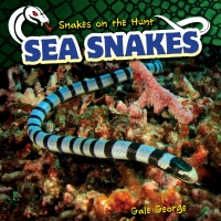 Imagen de portada: Sea Snakes 9781499422085