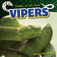 Cover image: Vipers 9781499422122