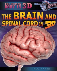 Cover image: The Brain and Spinal Cord in 3D 9781499435818