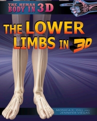 صورة الغلاف: The Lower Limbs in 3D 9781499436013