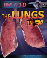 Imagen de portada: The Lungs in 3D 9781499436051
