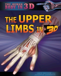 Imagen de portada: The Upper Limbs in 3D 9781499436174