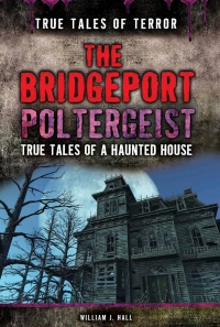 Cover image: The Bridgeport Poltergeist 9781499461541