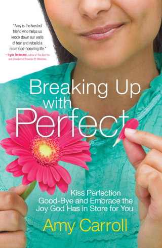 Cover image: Breaking Up with Perfect 9781501102950