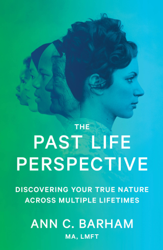Cover image: The Past Life Perspective 9781982107697