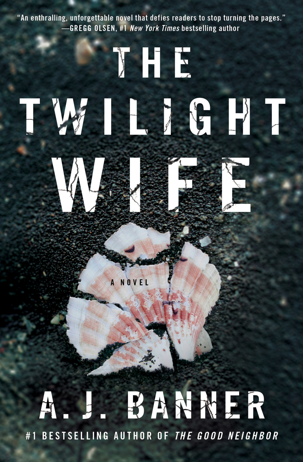 The Twilight Wife eBook