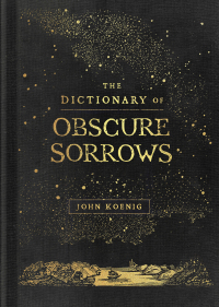 Cover image: The Dictionary of Obscure Sorrows 9781501153648