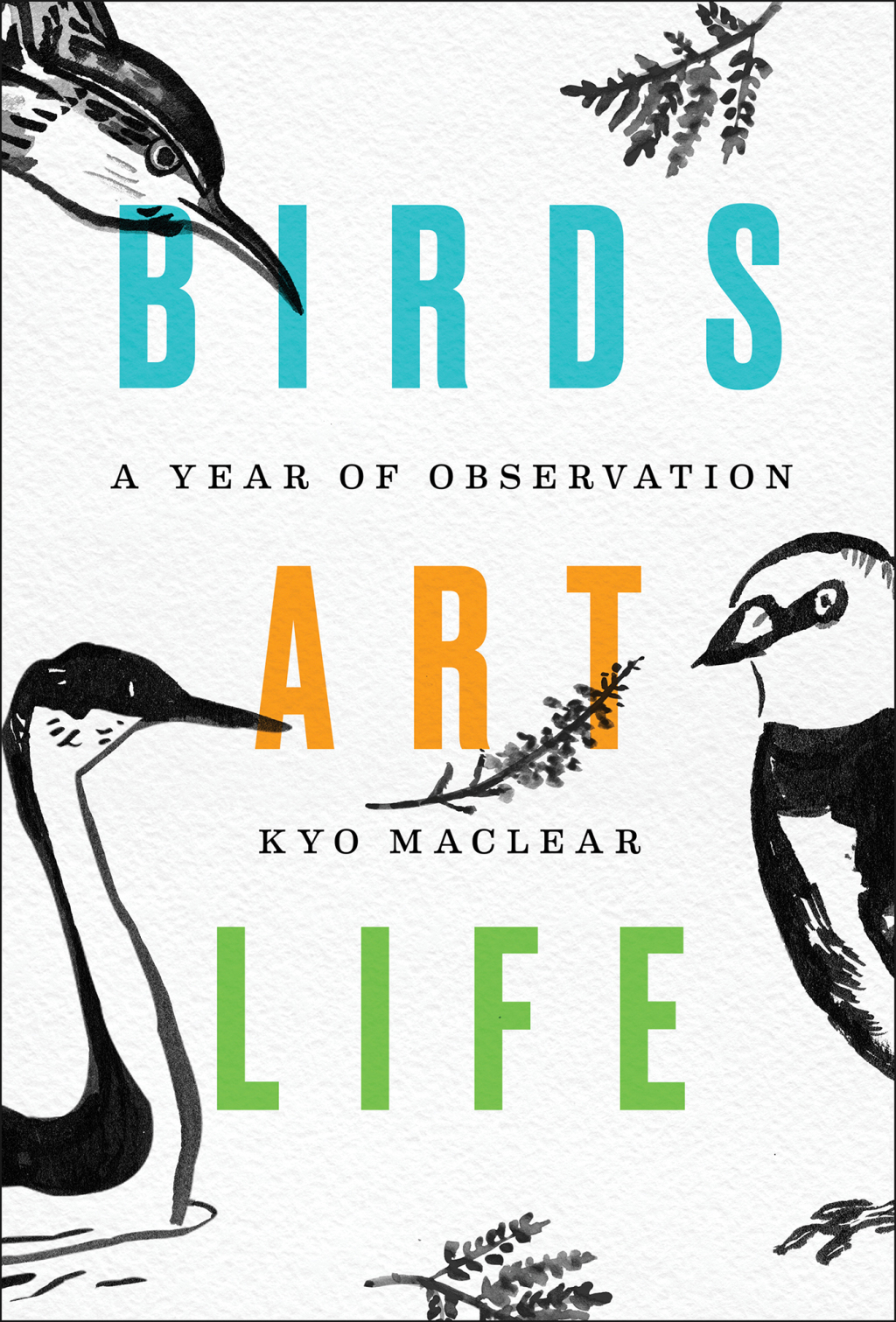 Birds Art Life A Year of Observation