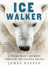 Cover image: Ice Walker 9781501155369