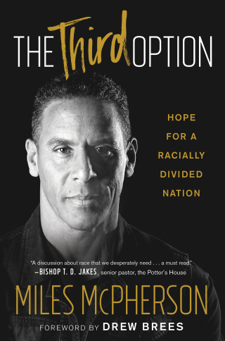 Cover image: The Third Option 9781501172205