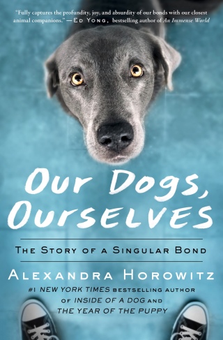 Cover image: Our Dogs, Ourselves 9781501175015