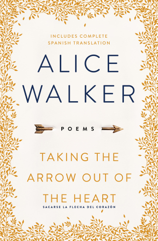 Cover image: Taking the Arrow Out of the Heart 9781501179525