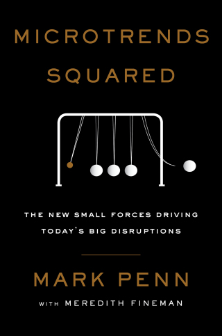 Cover image: Microtrends Squared 9781501179938