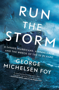 Cover image: Run the Storm 9781501184901