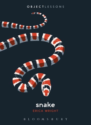Cover image: Snake 1st edition 9781501348716