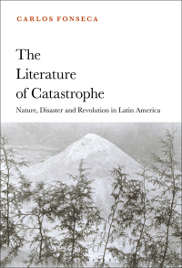 Cover image: The Literature of Catastrophe 1st edition 9781501370700