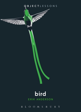 Cover image: Bird 1st edition 9781501353352