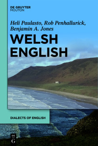 Cover image: Welsh English 1st edition 9781614513810