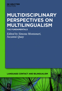 Cover image: Multidisciplinary Perspectives on Multilingualism 1st edition 9781501516504