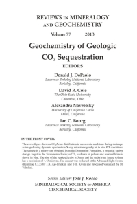 Cover image: Geochemistry of Geologic CO2 Sequestration 1st edition 9780939950928