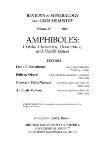 Titelbild: Amphiboles 1st edition 9780939950799
