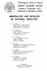 Imagen de portada: Mineralogy and Geology of Natural Zeolites 1st edition 9780939950041