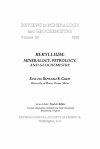 Titelbild: Beryllium 1st edition 9780939950621