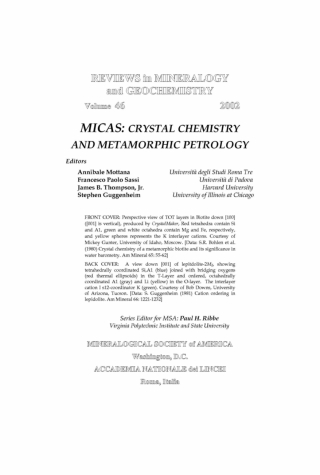 Cover image: Micas 1st edition 9780939950584