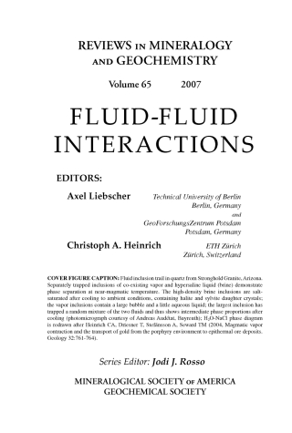 Imagen de portada: Fluid-Fluid Interactions 1st edition 9780939950775