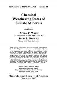 Imagen de portada: Chemical Weathering Rates of Silicate Minerals 1st edition 9780939950386