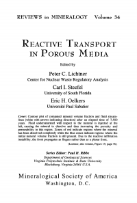 Imagen de portada: Reactive Transport in Porous Media 1st edition 9780939950423
