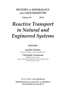 صورة الغلاف: Reactive Transport in Natural and Engineered Systems 1st edition 9781946850010