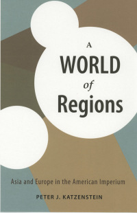 Omslagafbeelding: A World of Regions 1st edition 9780801472756