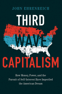 صورة الغلاف: Third Wave Capitalism 1st edition 9781501702310
