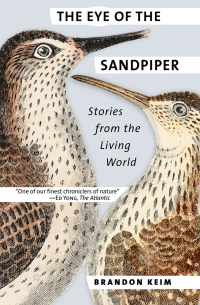 Cover image: The Eye of the Sandpiper 1st edition 9781501707728