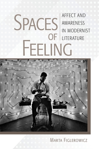Imagen de portada: Spaces of Feeling 9781501714221