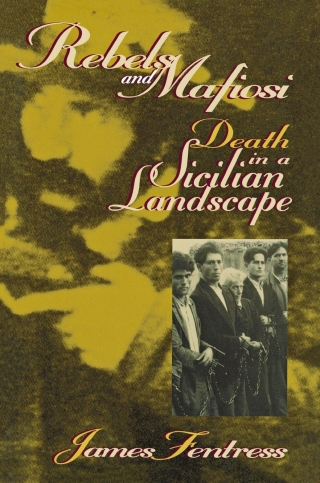 Cover image: Rebels and Mafiosi 9780801435393