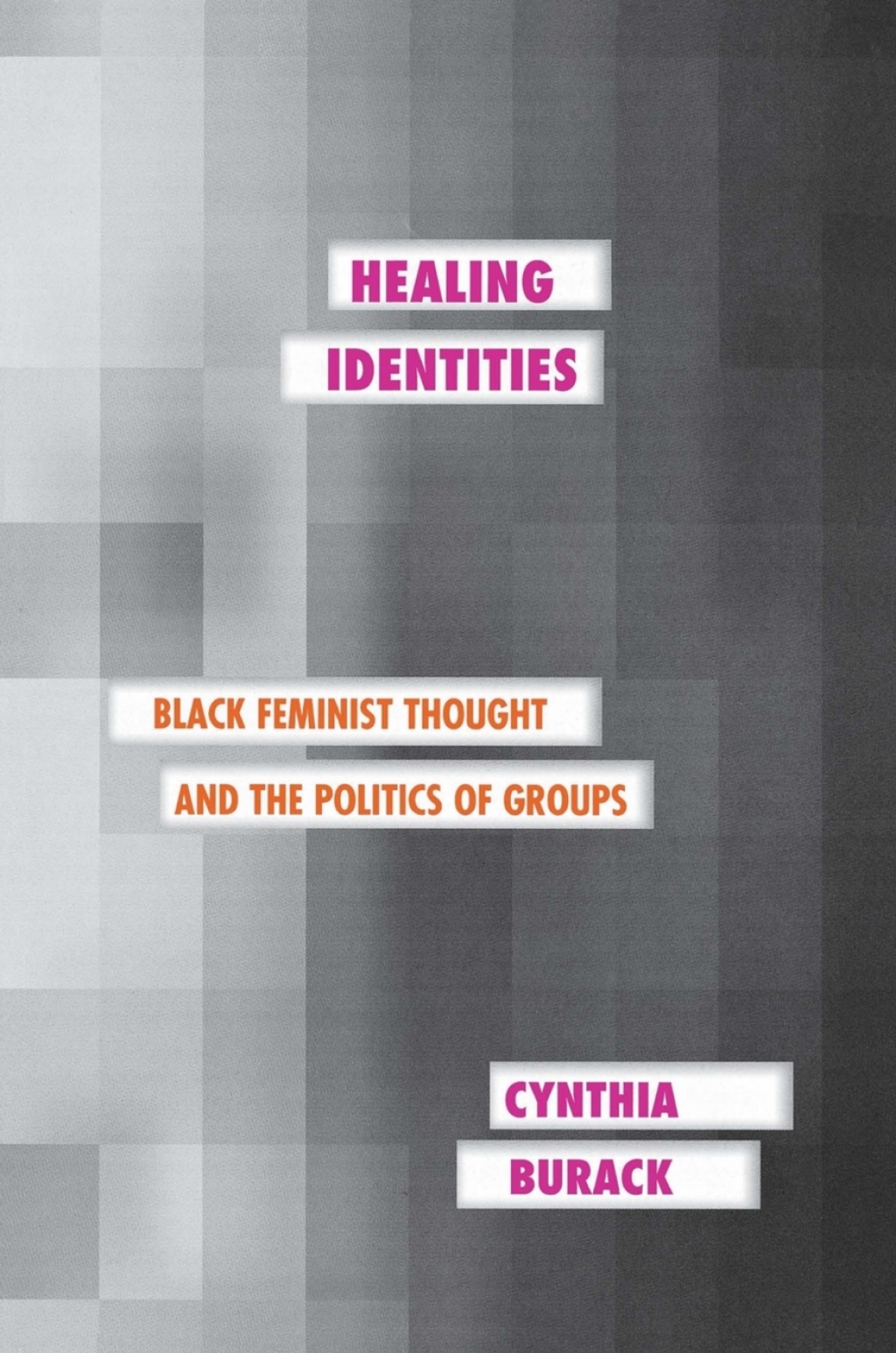 Healing Identities Black Feminist Thought and the Politics of Groups
