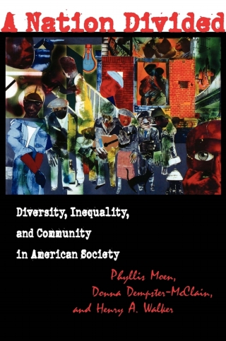 Imagen de portada: A Nation Divided 9780801437199