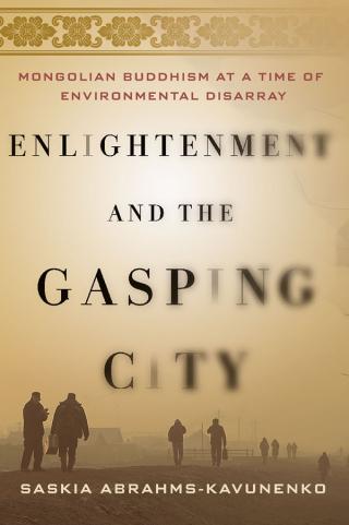 Cover image: Enlightenment and the Gasping City 9781501737640